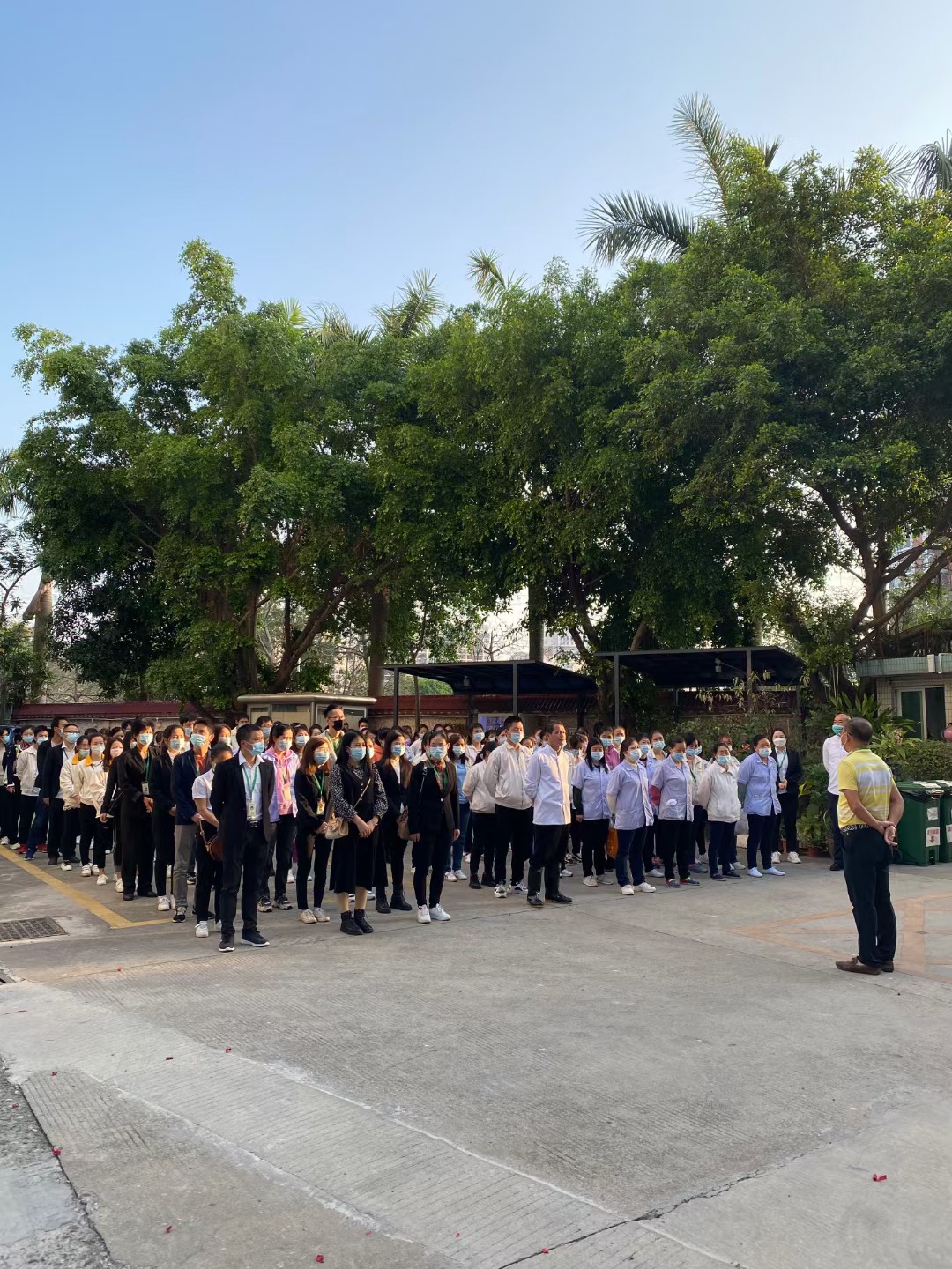 2021年开工大吉，牛来运转牛（扭）转乾坤，加油七七视频手机APP人，新的一年再创佳绩！！！
